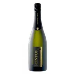 Cintus - vino / vini